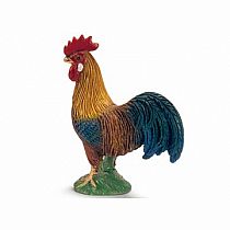 Rooster