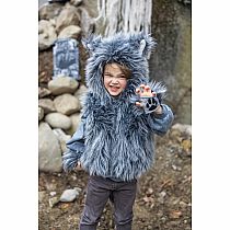 BIG BAD WOLF VEST / GLOVES 5/6