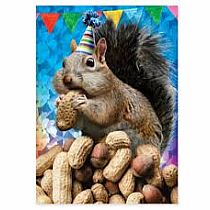 GO NUTS! BD CARD