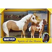 Breyer Misty and Stormy Set with Book