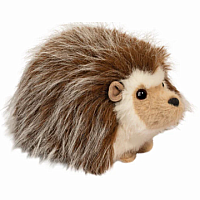 BRISTLE HEDGEHOG