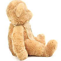 GOLDEN TENDER TEDDY