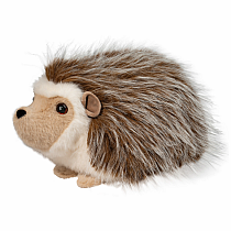 BRISTLE HEDGEHOG