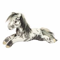 STARSKY APPALOOSA HORSE