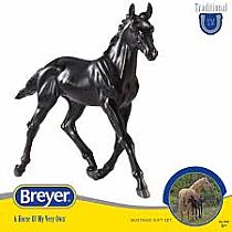 BREYER ENCORE & TOR