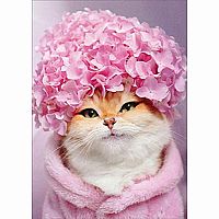 KITTY HYDRANGEA CAP CARD MOTHER'S DAY