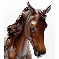 BREYER MORGANQUEST NATIVE SUN