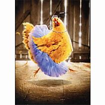 CHICKEN IN TUTU CARD