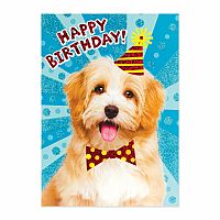 DOG WITH PARTY HAT BD CARD