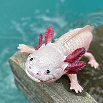 SAFARI AXOLOTL