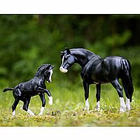 BREYER NISTAR BLAZING KANSAS