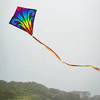 AURORA 30" DIAMOND KITE