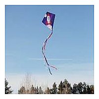 ROCKET 30" DIAMOND KITE