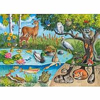 ANIMALS ABOVE AND BELOW 60 PC