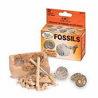 Fossils Mini Dig Kits