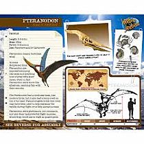 DINO KIT LG PTERANODON