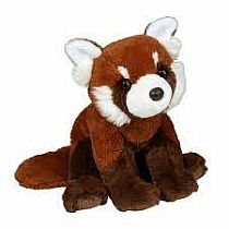 KYRIE RED PANDA SOFTIE