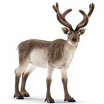 SCHLEICH REINDEER