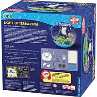 WOW LIGHT-UP TERRARIUM