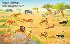 Animal Habitats Sticker Book