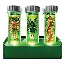 KIDZLABS GLOW CRITTER LAB