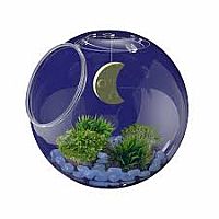 WOW LIGHT-UP TERRARIUM