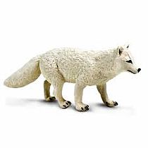 SAFARI ARCTIC FOX