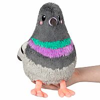 SQUB MINI PIGEON