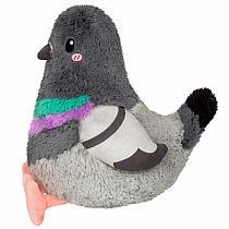 SQUB MINI PIGEON