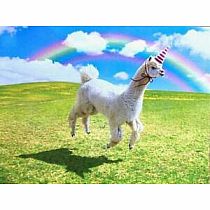 ALPACA UNICORN RAINBOW CARD