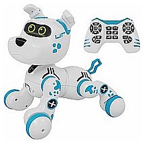 BUDDY BOT