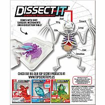 DISSECT-IT BAT LAB