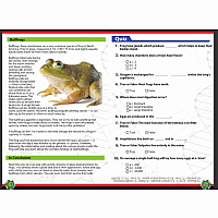 DISSECT-IT FROG SUPER LAB